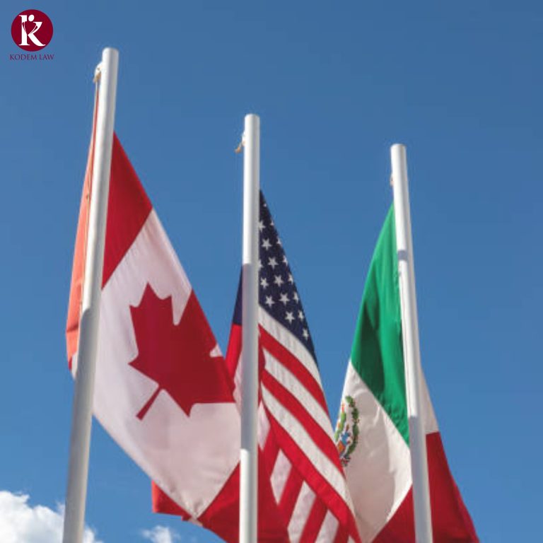 The Comprehensive Guide to TN Visas