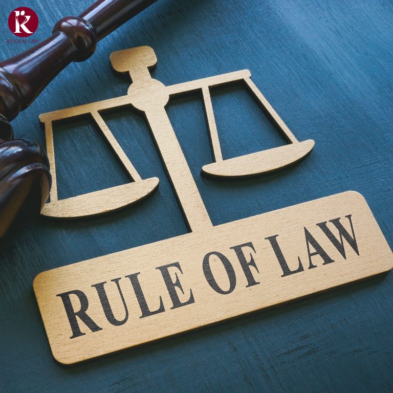 What is the 14th Amendment 