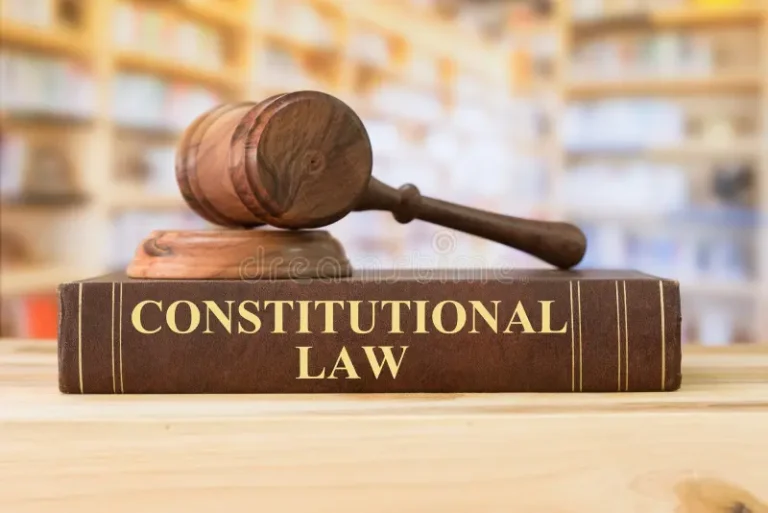 The Significance of Constitutional Law Nurturing Order and Justice