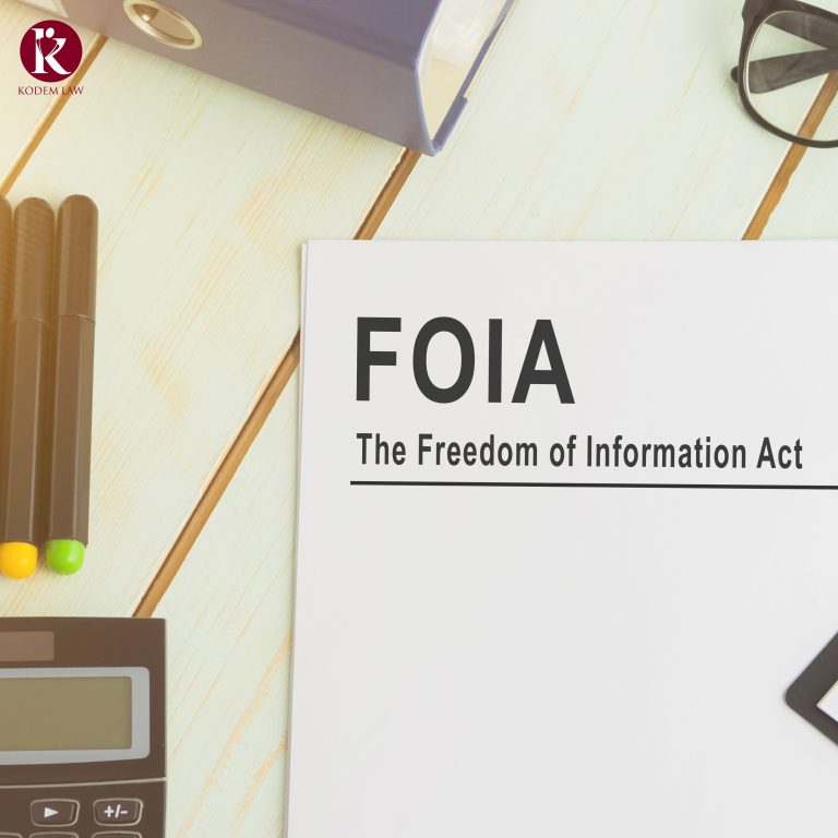 When and Why to File a FOIA Request in Immigration Cases