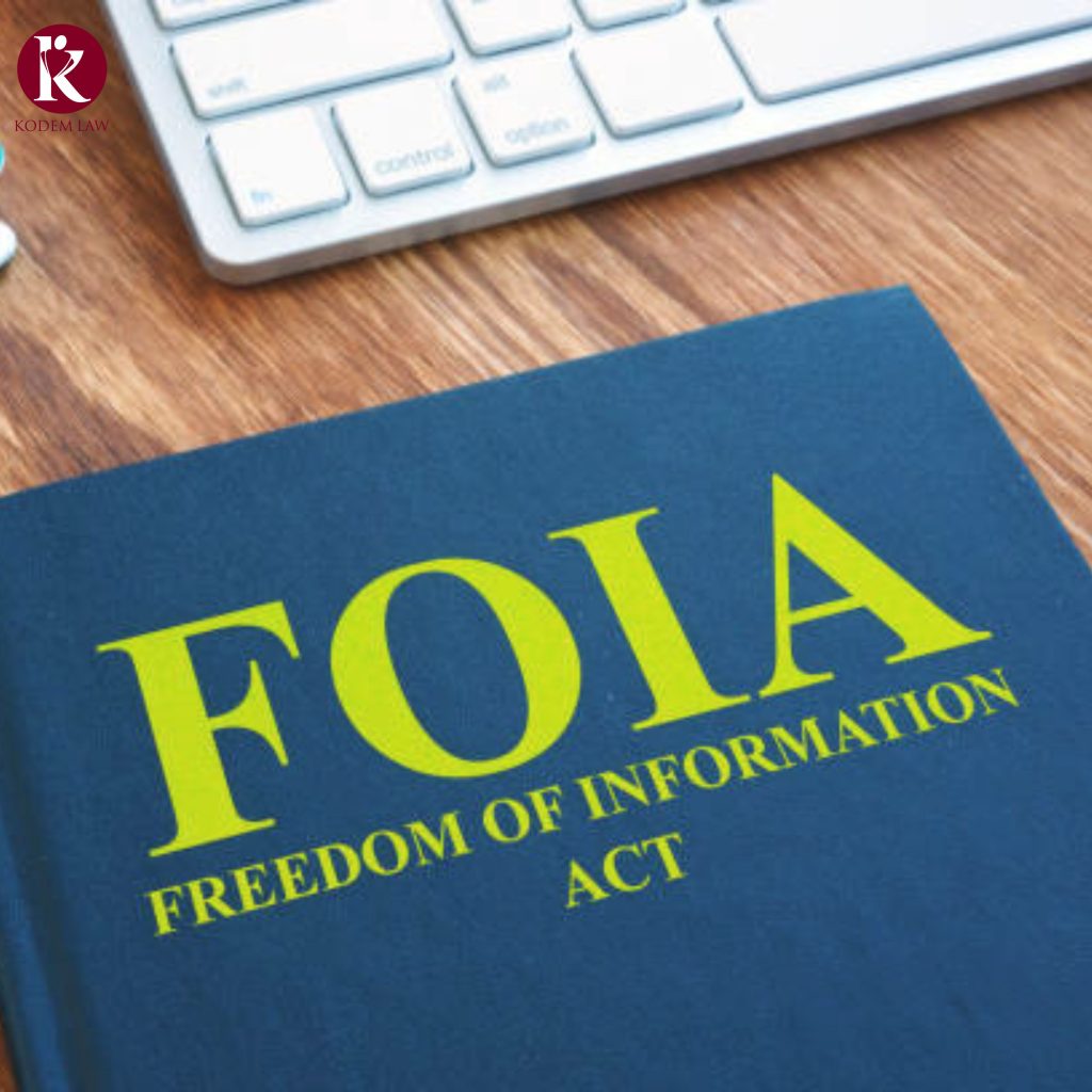 FOIA Requests for Visa Processing Delays A Guide for Frustrated Applicants